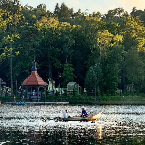 Photo #13055325