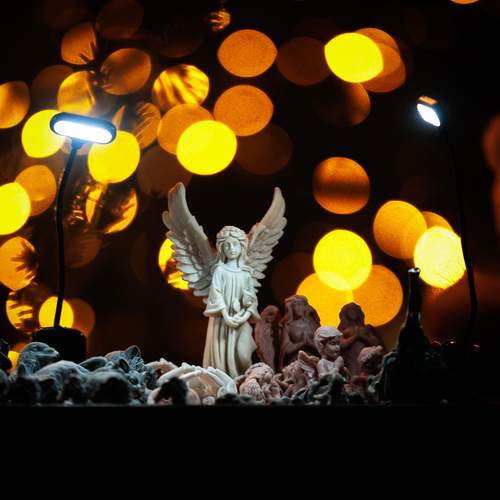 Photo #13055660