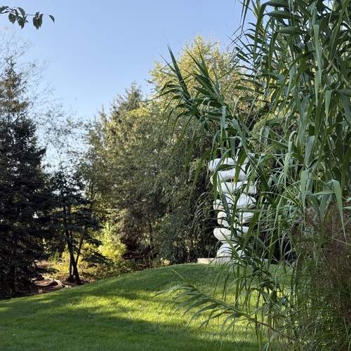 Photo #13055770