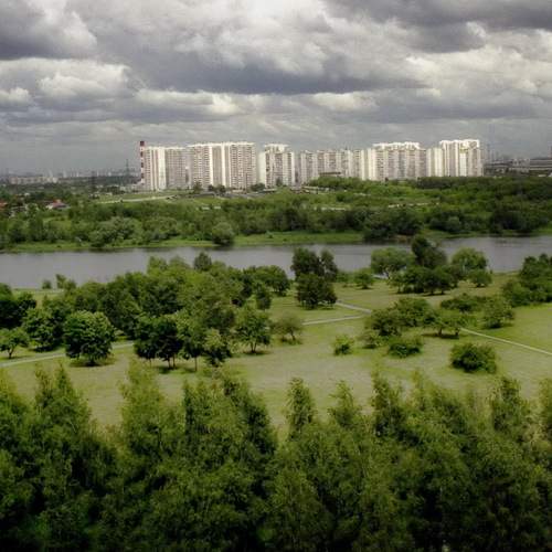 Photo #13055806