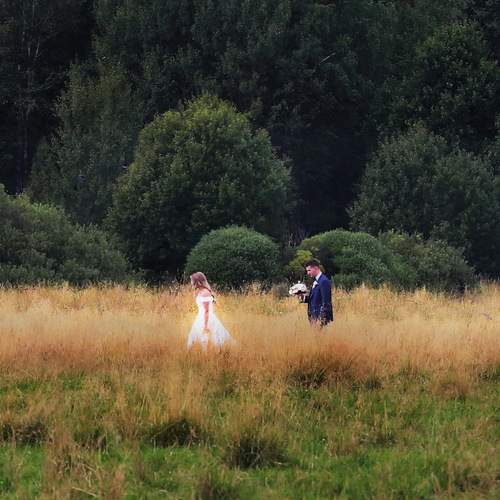 Photo #13055811