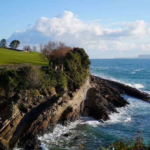 Photo #13056299