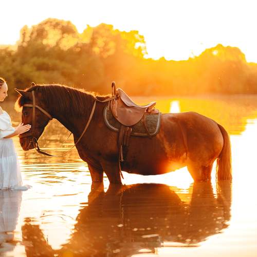 Фотография #13056323