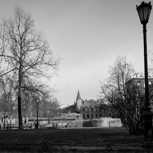 Photo #13056520