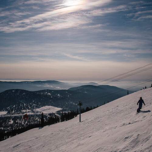 Photo #13056532