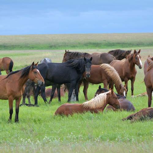 Майский день.
