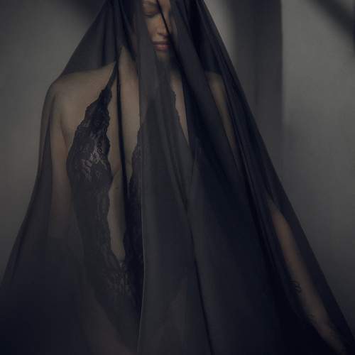 Photo #13056601