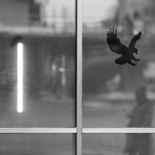 Photo #13056676