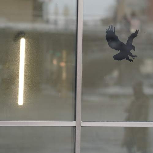 Photo #13056734