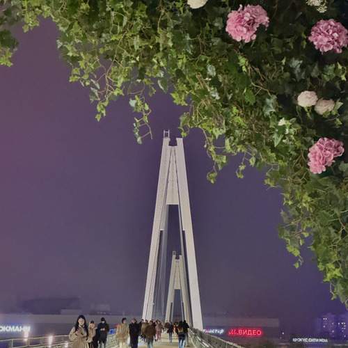 Photo #13056832