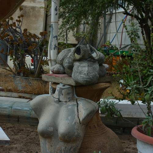 Photo #13056934