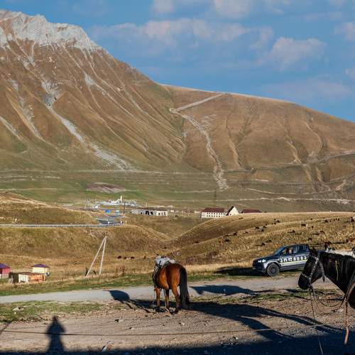 Photo #13057167