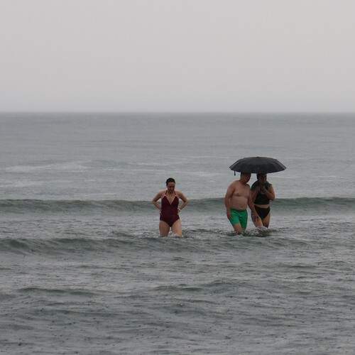 Photo #13057199