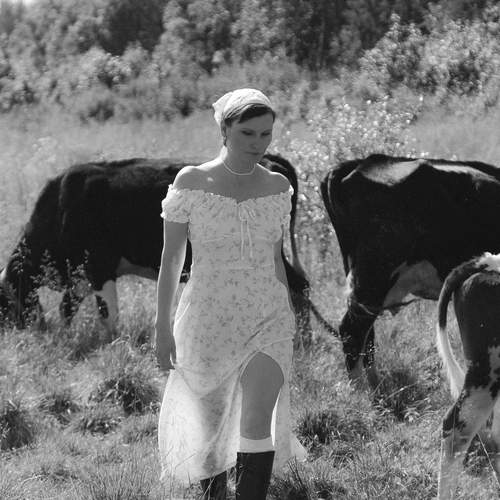 Photo #13057221
