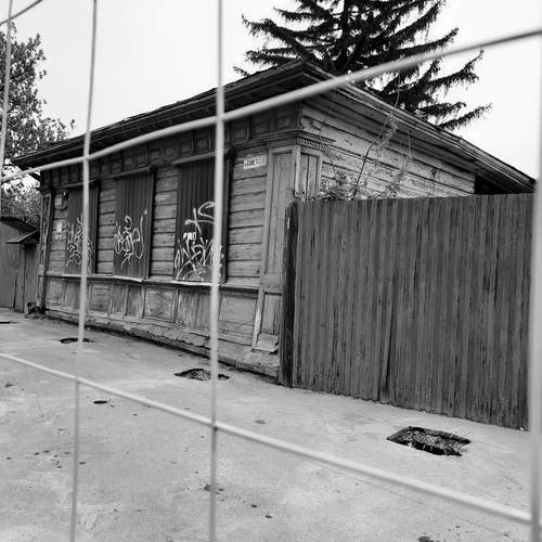 Photo #13057506