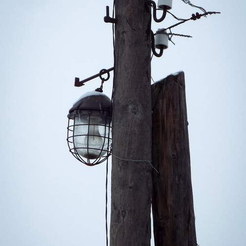 Фотография #13057525