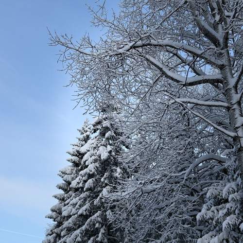 Photo #13057609