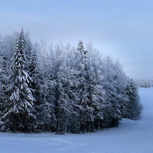 Photo #13057612