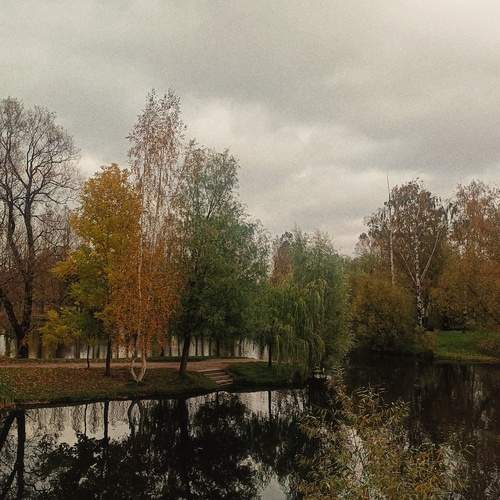 Photo #13057699
