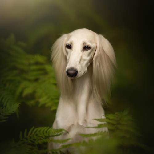 Photo #13057706