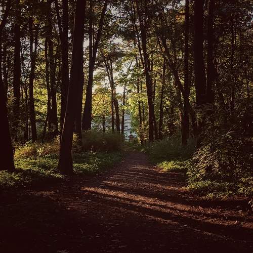 Photo #13057715