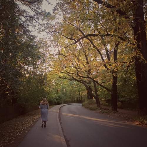 Photo #13057717