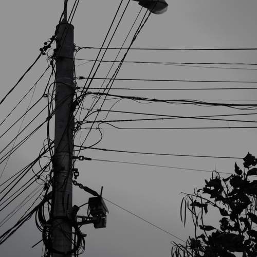 Photo #13057776