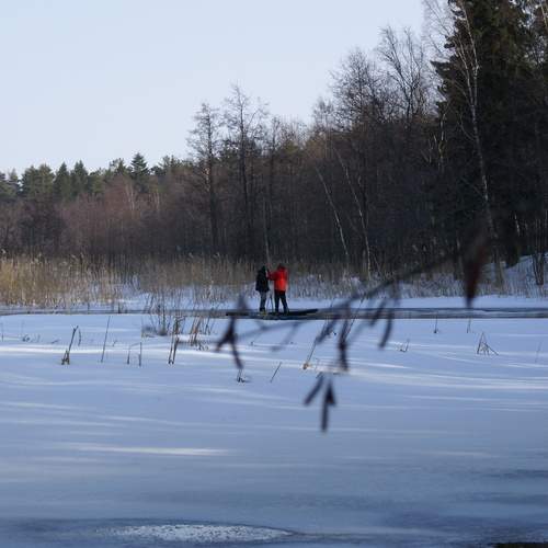 Photo #13057777