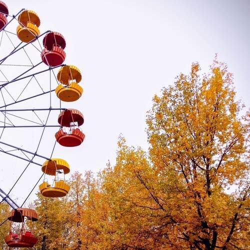Photo #13057868