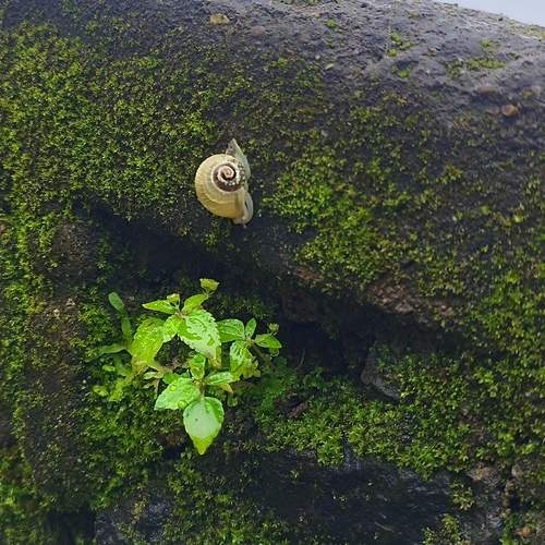 Photo #13058010