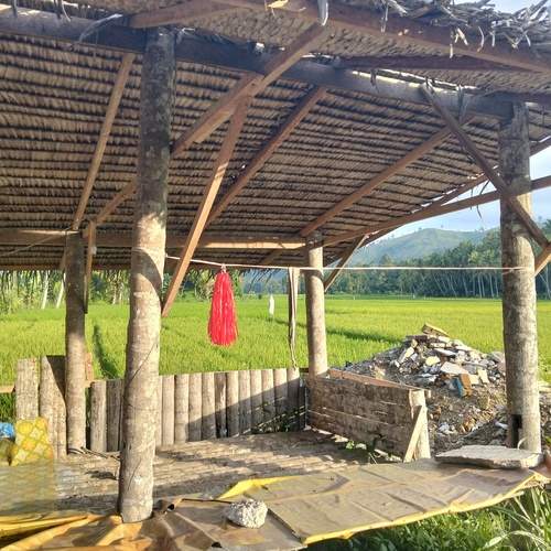 Photo #13058082