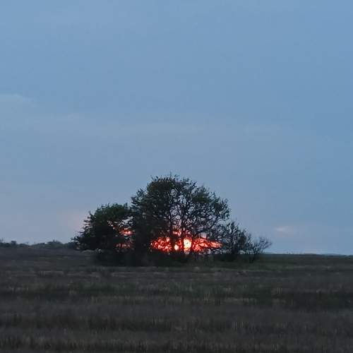 Photo #13058115