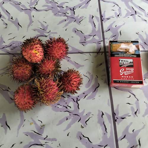 Photo #13058122