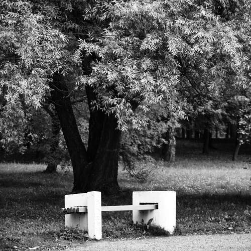 Photo #13058141