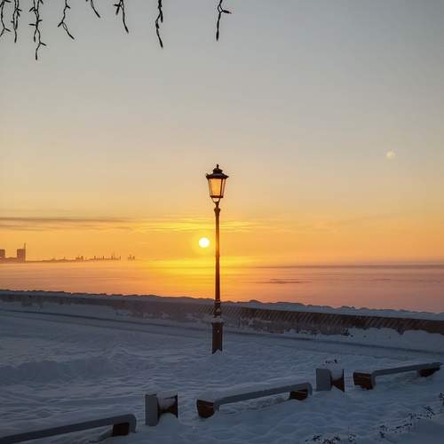 Photo #13058226