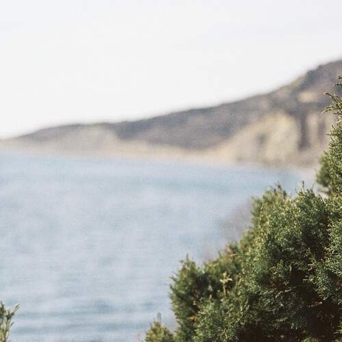 Photo #13058575