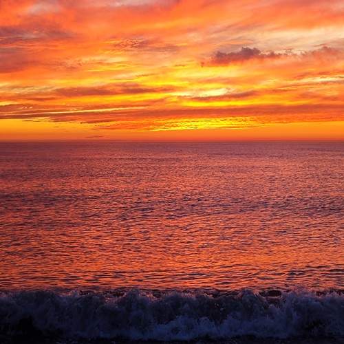 Photo #13058584