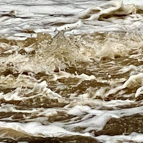 Photo #13058624