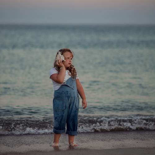 Photo #13058713