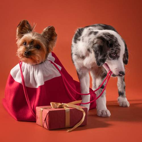 Фотография #13058724