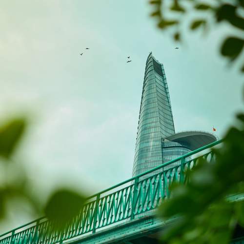 Photo #13058755