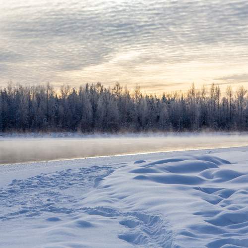 Photo #13058767