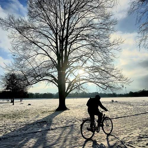 Photo #13058813