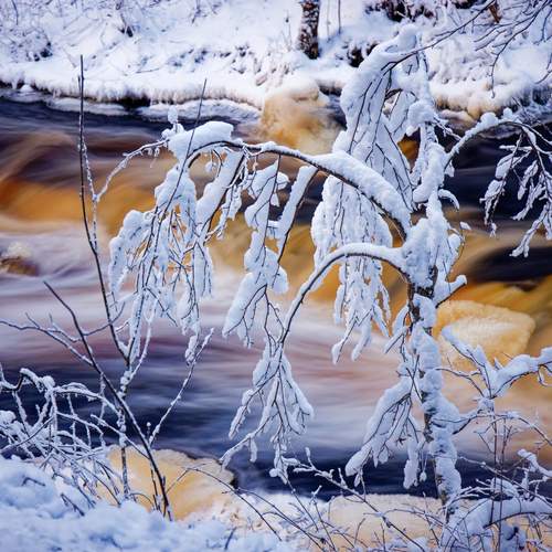 Photo #13058976