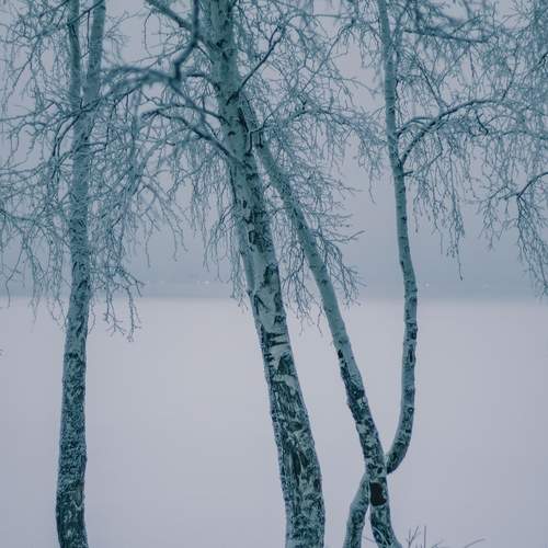 Photo #13059033