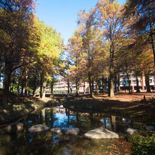 Photo #13059043