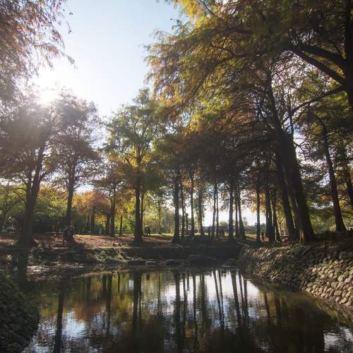Photo #13059044