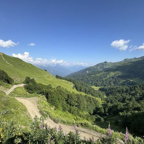 Photo #13059057