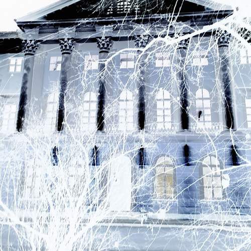 Photo #13059064