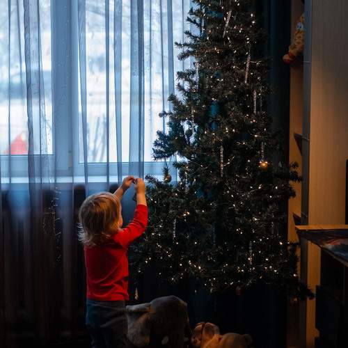 Photo #13059072